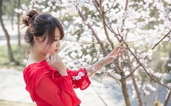 数学课代表趴下跟我做作文